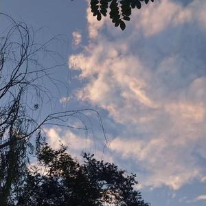 同桌脱👙让我玩
